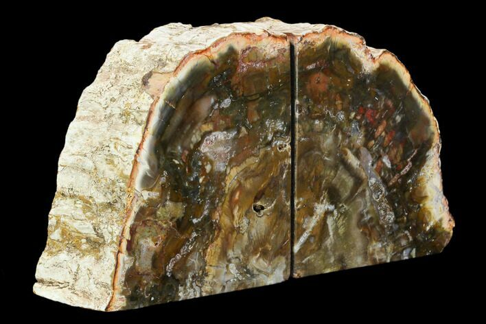 Tall, Colorful Petrified Wood Bookends - Madagascar #129937